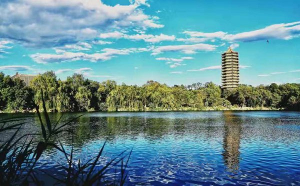 中国985院校有哪些大学