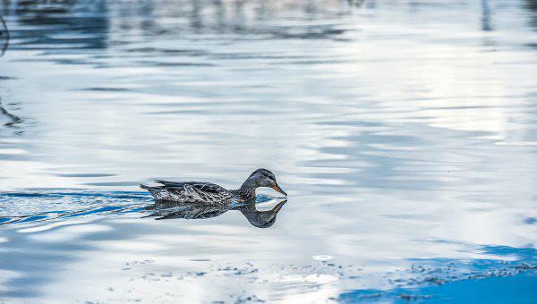 海拉尔是哪个省的城市