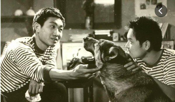 影视演员杜源个人资料简介