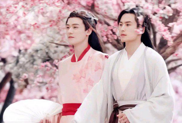 山河令为什么下架