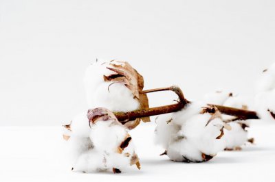 内裤什么材质的最好 不同面料的内裤分别有哪些特点