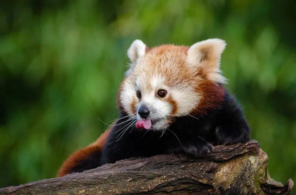 分手两年了还能复合吗