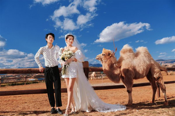 胖人穿什么婚纱好看