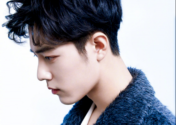 明星杨玏女朋友是王玉雯吗