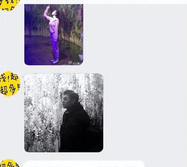 明星杨玏女朋友是王玉雯吗