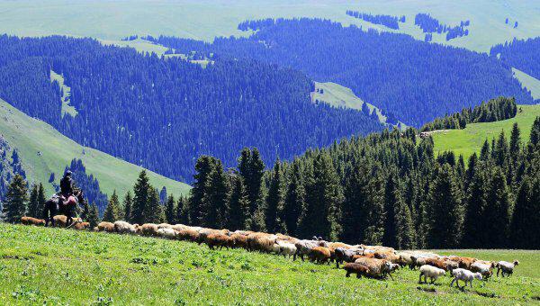 6月份新疆天气穿什么衣服