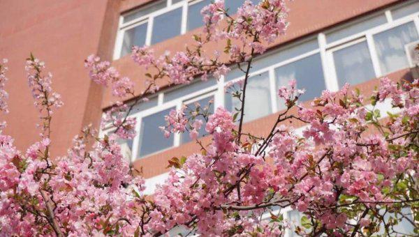 北京第二外国语学院是一本吗