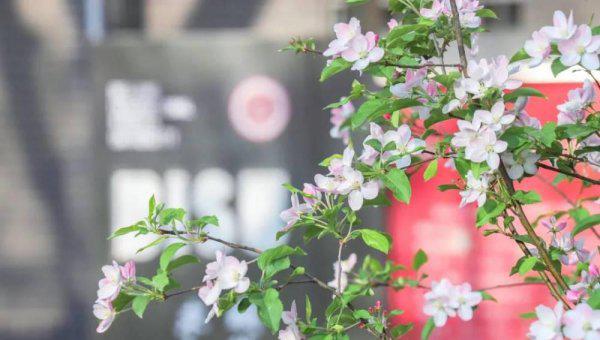 北京第二外国语学院是一本吗