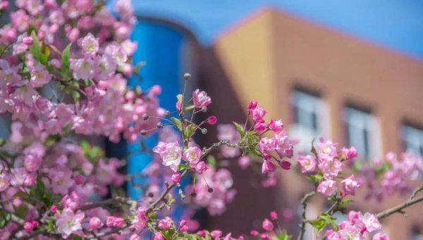 北京第二外国语学院是一本吗