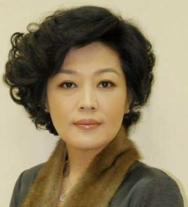 哈文简历及个人资料