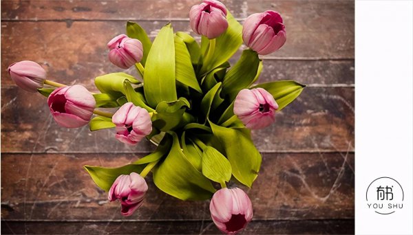 走狗屎运什么意思