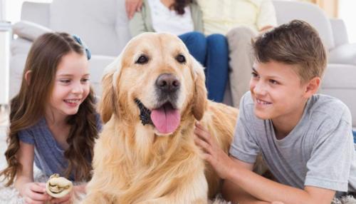 第一聪明的动物是什么