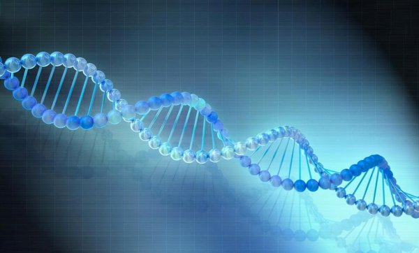 死后的人都去了哪真相