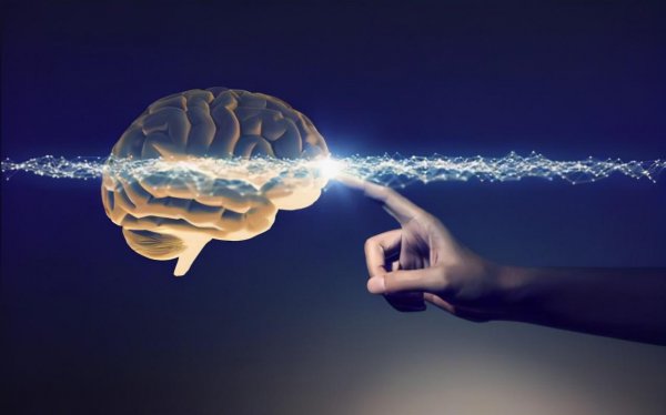 死后的人都去了哪真相