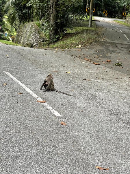 马来西亚比中国富裕吗