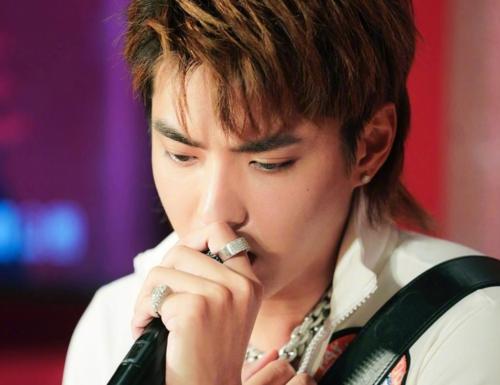 王子异个人资料简介及家世