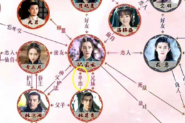 林昊青对纪云禾是什么感情