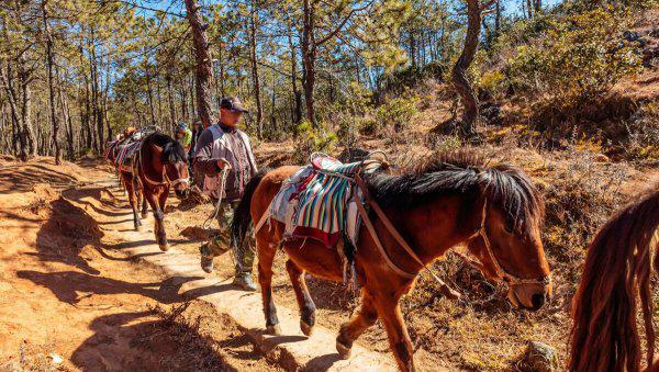 丽江旅游攻略必去景点