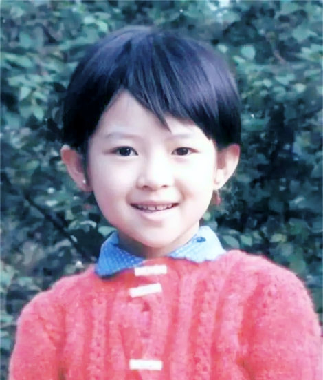 女明星杨紫是哪里人