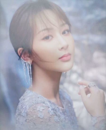 女明星杨紫是哪里人