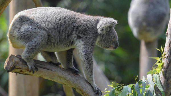 中国十大亲子游景点排名对比