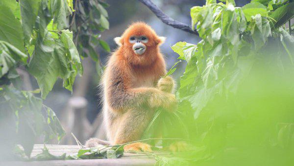 中国十大亲子游景点排名对比