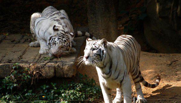 中国十大亲子游景点排名对比