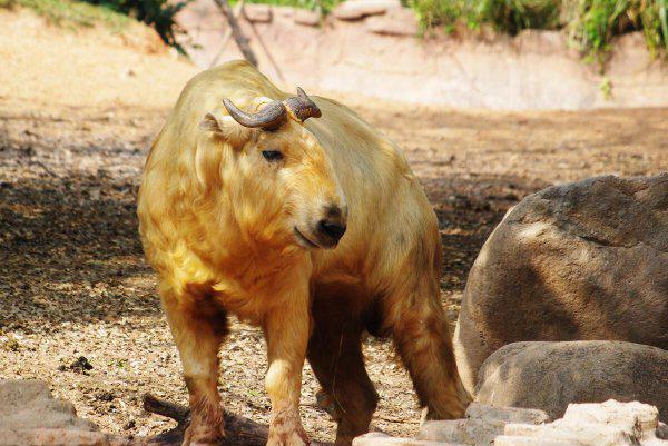 中国十大亲子游景点排名对比