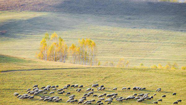 中国十大亲子游景点排名对比