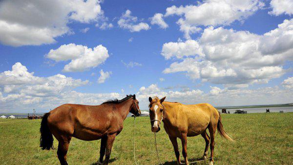 中国十大亲子游景点排名对比