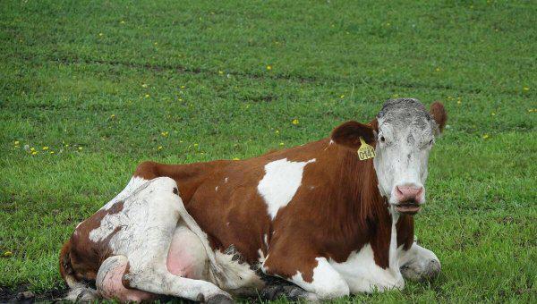 中国十大亲子游景点排名对比