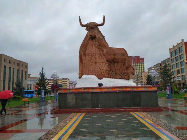 合作市海拔多少米