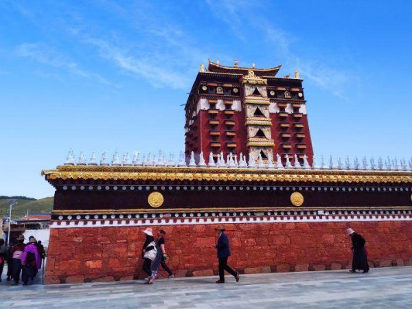 合作市海拔多少米