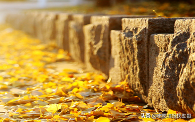 东北财经大学学科评估 东北财经大学的录取分数线