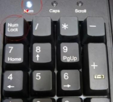 电脑不能打字了怎么恢复正常