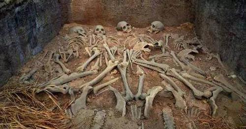 3000年前是什么朝代