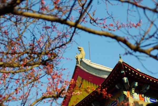 哈工程是985还是211院校