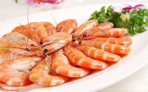 农村有什么养殖业赚钱