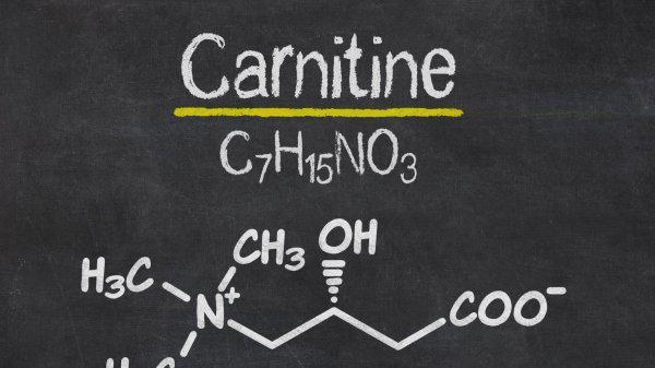 健身用的左旋是什么东西
