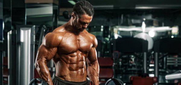 健身用的左旋是什么东西