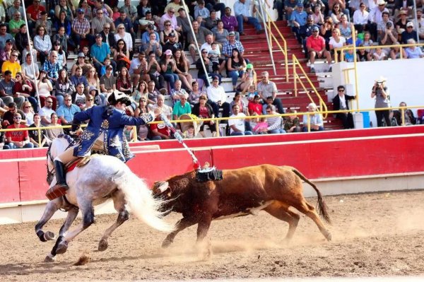 葡萄牙是哪个国家