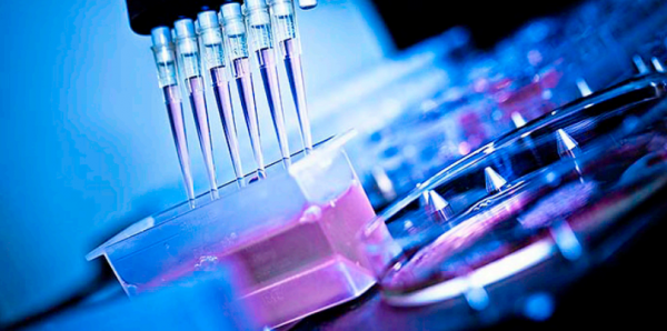 未来前景最好的十个行业