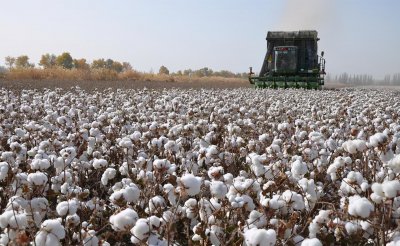 夏季t恤衫品牌排行榜 六家高性价比国货棉T推荐