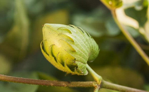 夏季t恤衫品牌排行榜