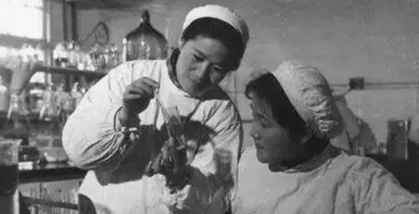 夏季t恤衫品牌排行榜