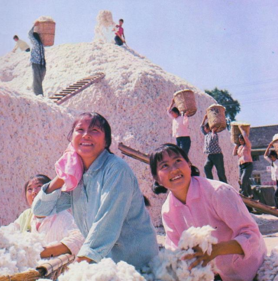 合肥市有几个区几个县