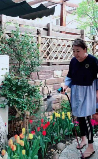 歌手衡越的个人资料简介