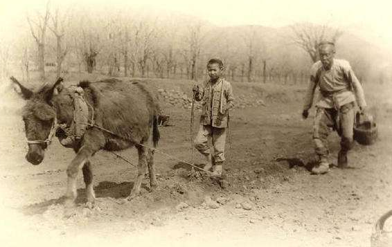 清朝一石一斛一斗一升