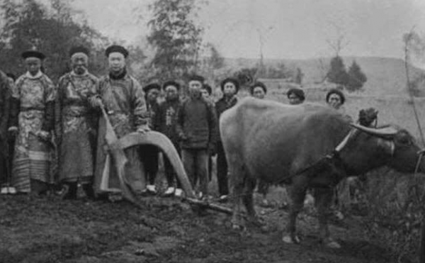 清朝一石一斛一斗一升