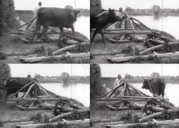 清朝一石一斛一斗一升